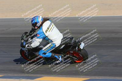 media/Nov-11-2023-SoCal Trackdays (Sat) [[efd63766ff]]/Turn 10 Inside (120pm)/